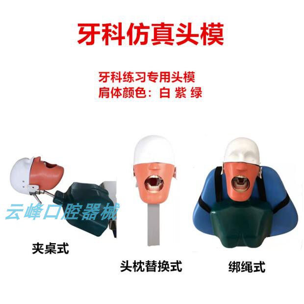 牙科仿真头模牙科学生练习头模口腔教学模型涡轮机模型头练习假牙