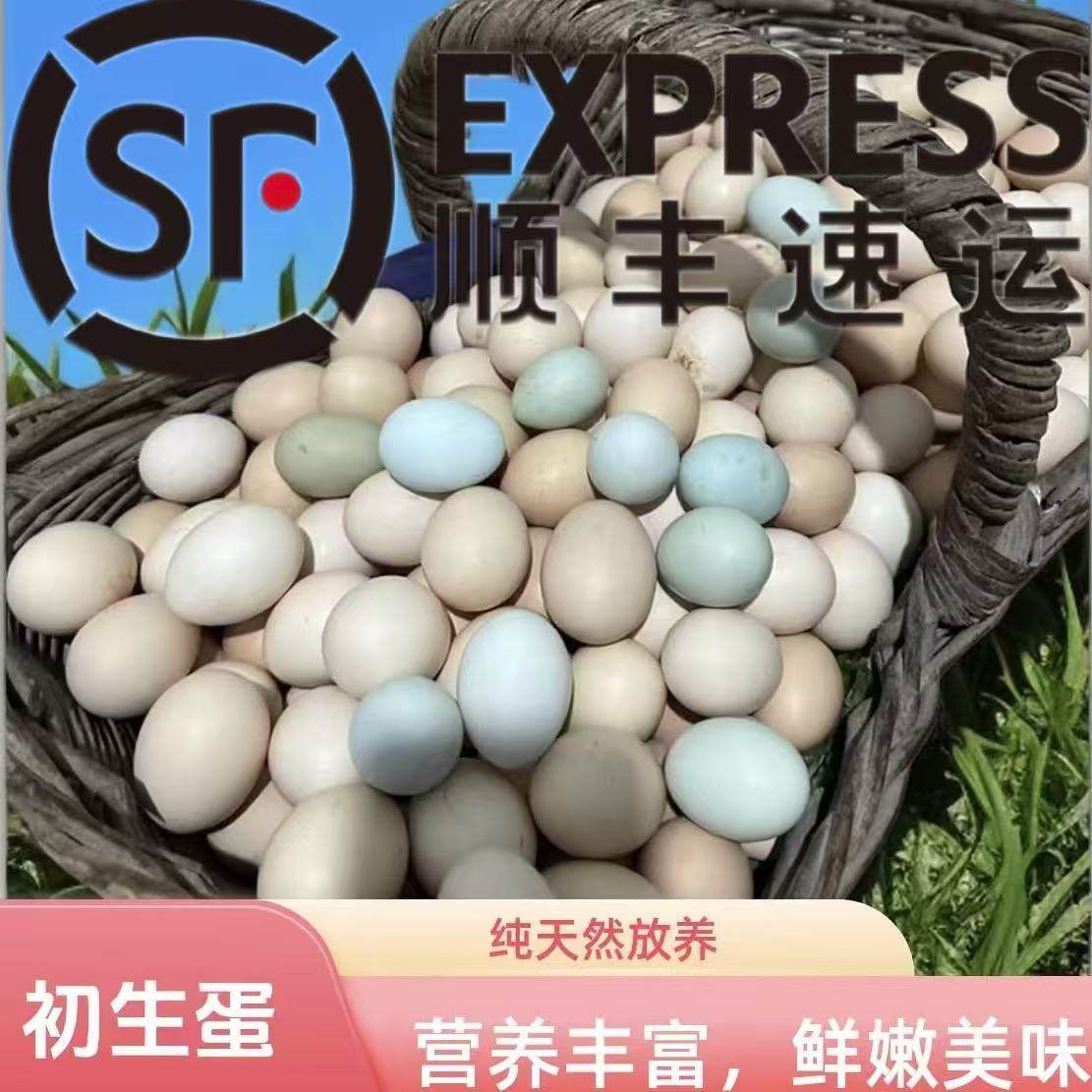 【初生蛋】头蛋适合婴儿儿童孕妈妈食用破碎包赔顺丰当天发走