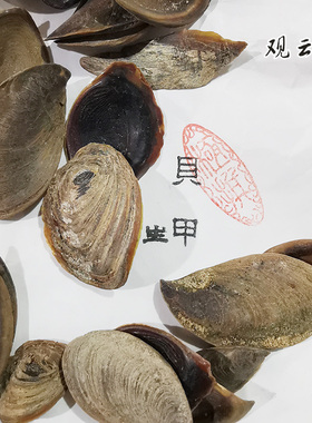 观云堂日本山田松甲香原料已炮制传统香方手工制香香学另有沙特