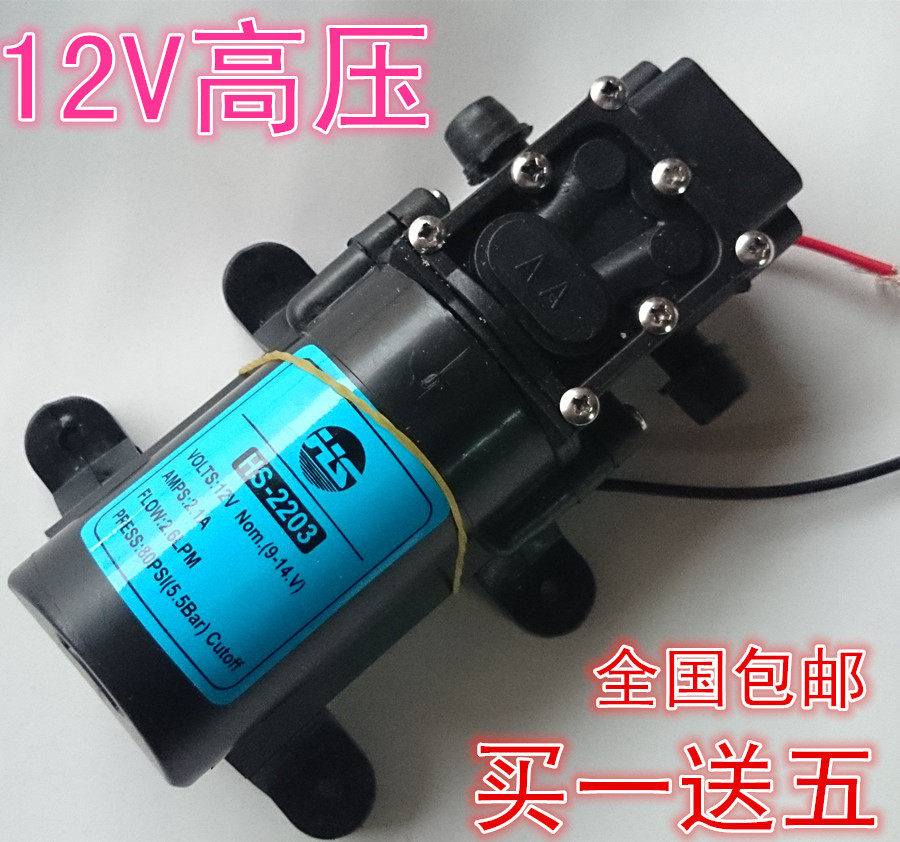 2203农用电动喷雾器水泵 电机配件12V高压水泵 洗车机微型高压泵