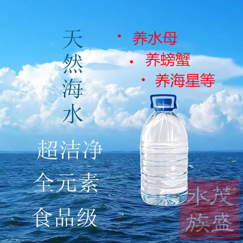 天然海水水母海星包邮
