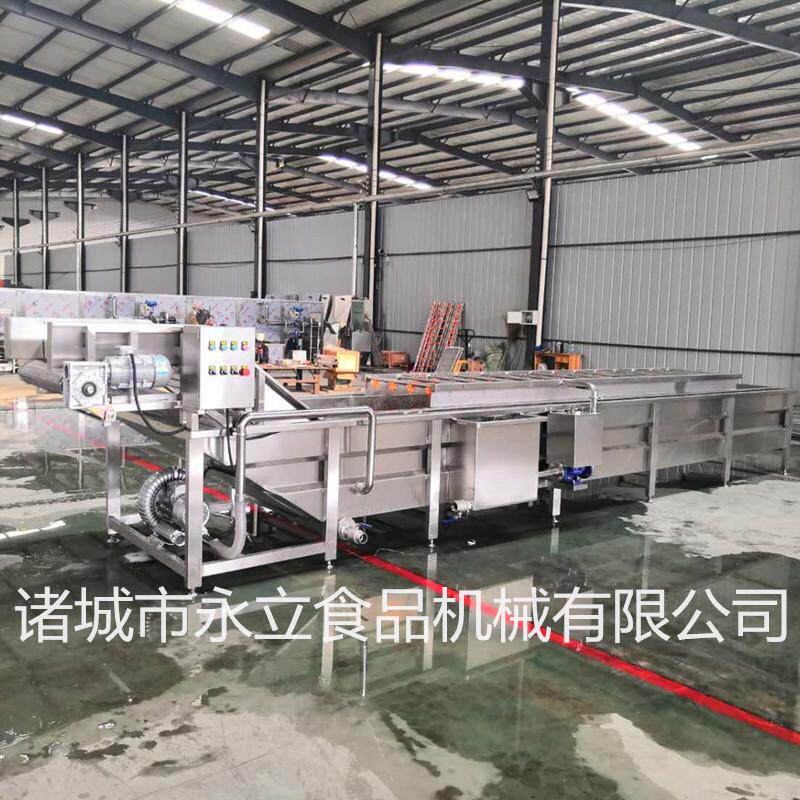 不锈钢食品机械芒果蓝莓气泡清洗设备果蔬加工生产线鼓泡洗菜机器