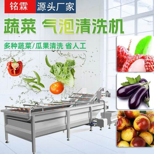 全自动荔枝茄子清洗机 不锈钢果蔬清洗机 全自动大枣清洗机设备