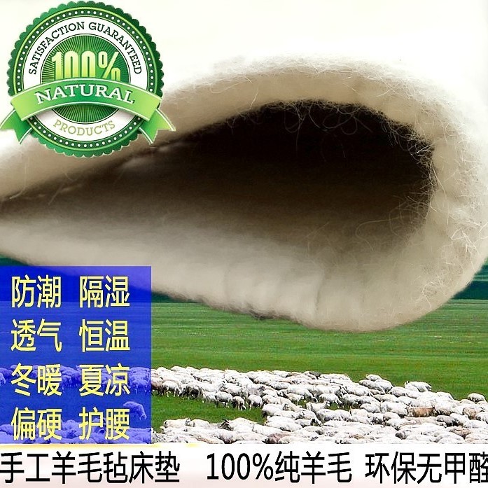 纯羊毛无甲醛榻榻米防潮学生床垫