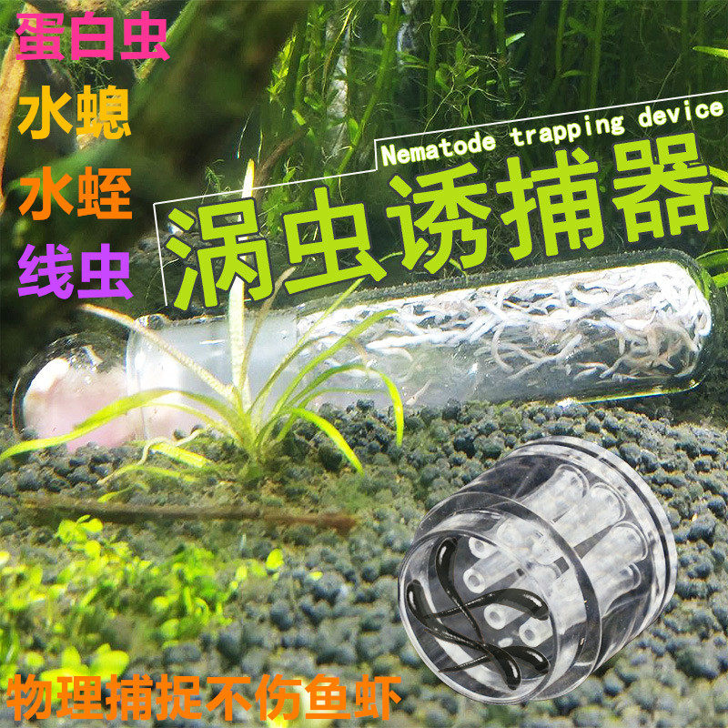 除涡虫线虫水蛭捕捉器 水螅蛋白虫抓虫器诱捕器 水草缸鱼缸捉虫器在类目 宠物/宠物食品及用品, 爬虫/鸣虫及其用品, 爬虫/鸣虫用具中 - 来自Buy2taobao.com提供专业的淘宝代购服务