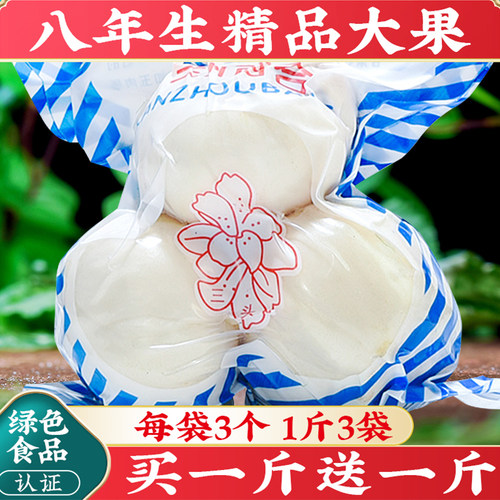 兰州新鲜食用甜百合陇卉百合