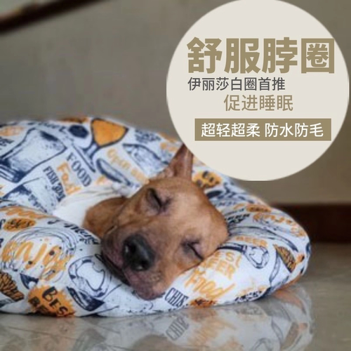 伊丽莎白圈 猫狗项圈猫脖圈伊利沙白圈软布 防舔耻辱圈