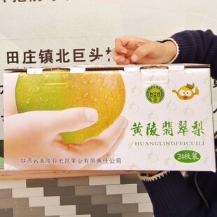 正宗黄陵翡翠梨原产地直发皮薄肉质细腻无渣核小坏果包赔24颗手提