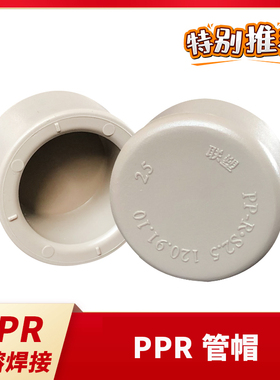 联塑ppr热熔焊接冷热水管 管帽堵头管堵封头4分6分1寸家用 促销