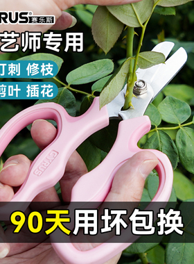 CYRUS赛乐斯花艺打刺剪刀-月季玫瑰鲜花修剪除刺钳去叶插花店专用