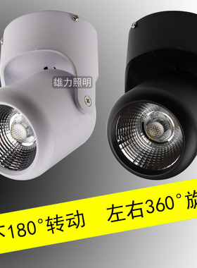 明装射灯聚光万向天花灯led单灯背景墙灯墙壁照画灯cob吸顶式射灯