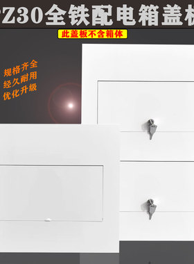 PZ30全铁配电箱盖板开关箱面板回路铁盖家用电箱配件单排6-40回路