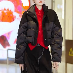 气质短款加厚立领保暖小众羽绒棉服高级感拼色通勤棉衣黑色棉袄女