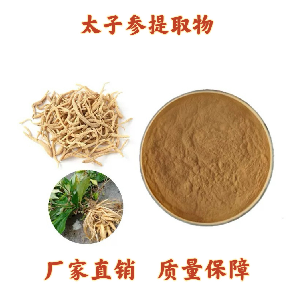 太子参提取物 30:1太子参粉 太子参多糖浓缩粉末 中药材提取物