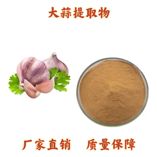大蒜提取物30:1 大蒜素 大蒜浓缩精华粉末 蒜辣素大蒜粉 赠送量勺
