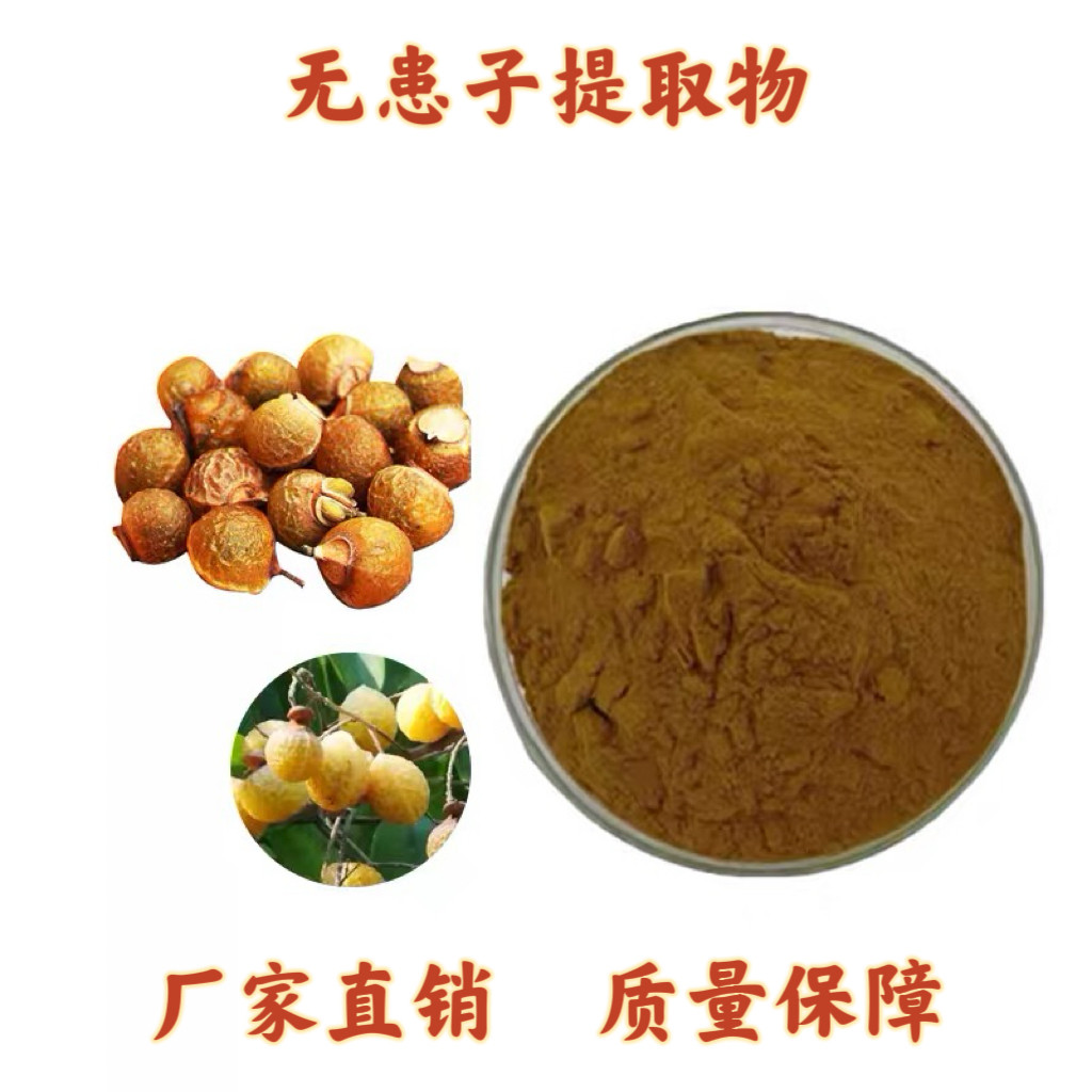 无患子提取物天然品质无患子 无患子皂甙皂苷80%浓缩精华粉末速发