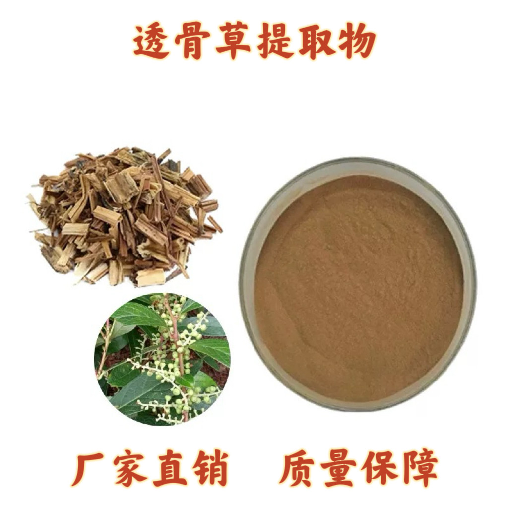 透骨草提取物30:1倒刺草粉 珍珠透骨草比例萃取浓缩粉末送量勺