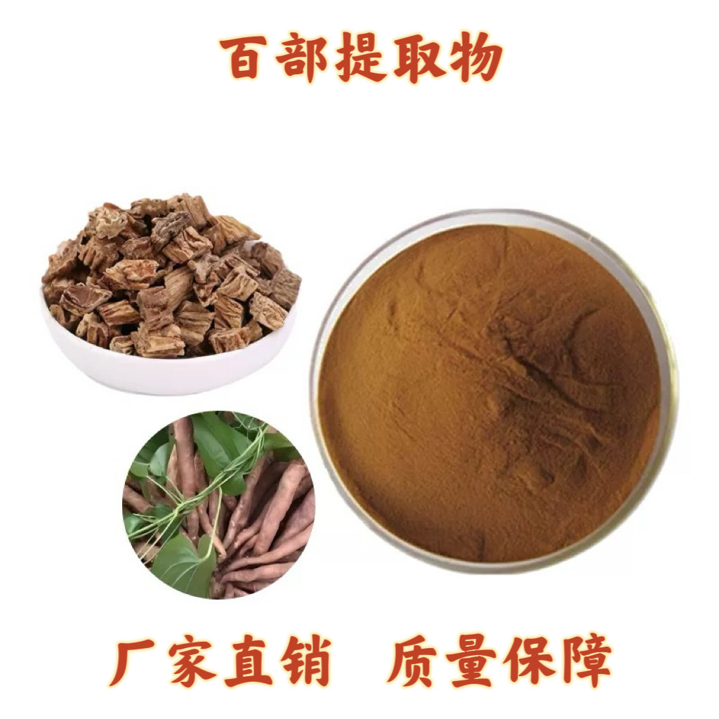 百部提取物30:1 婆妇草提取物比例萃取水溶浓缩粉末 百部碱提取物