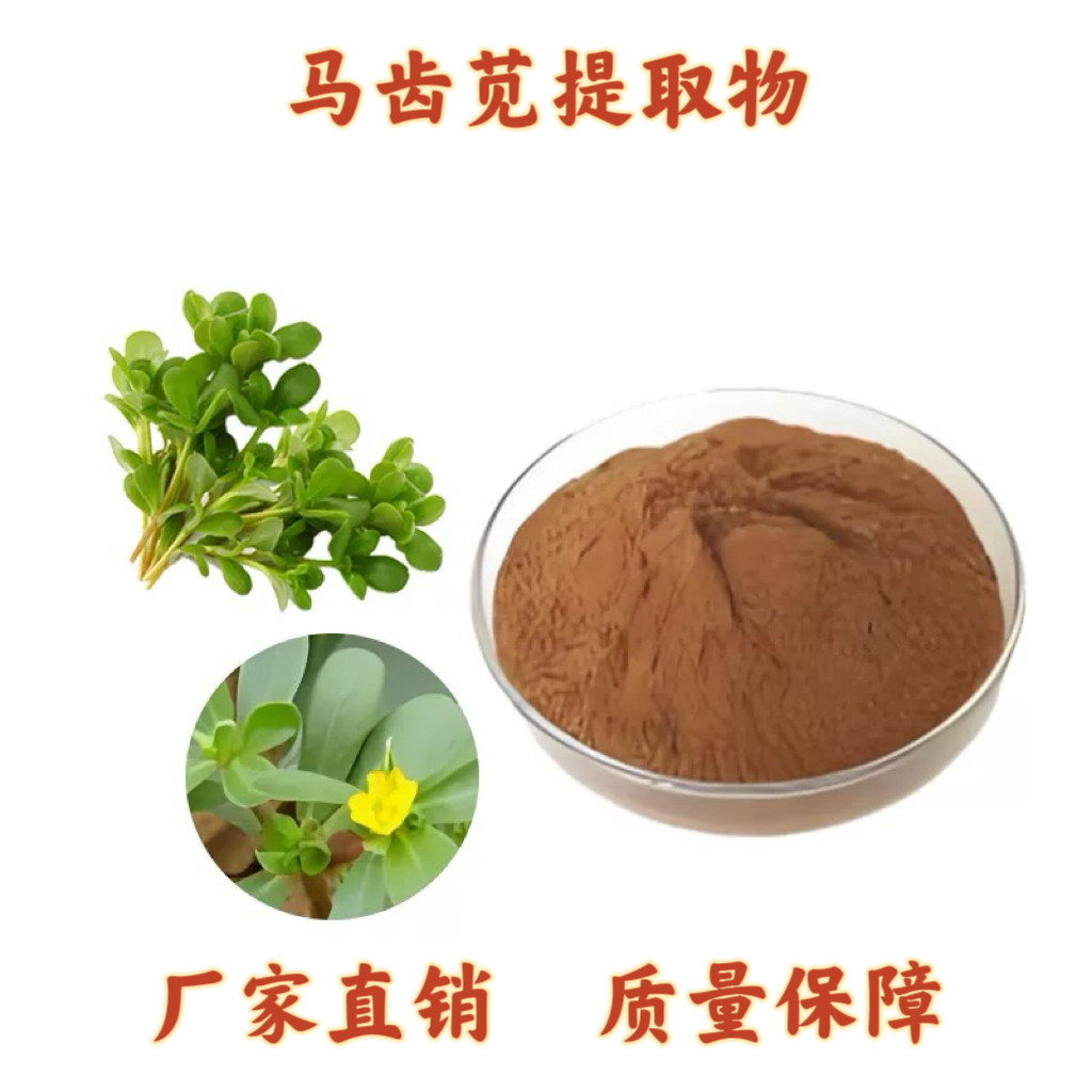 马齿苋提取物30: 1马齿菜马齿苋多糖粉末 马齿笕皂甙提取物 赠勺