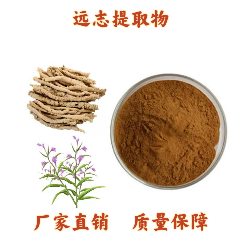 远志提取物20：1 远志浓缩粉精华粉末萃取原料源头工厂送量勺包邮