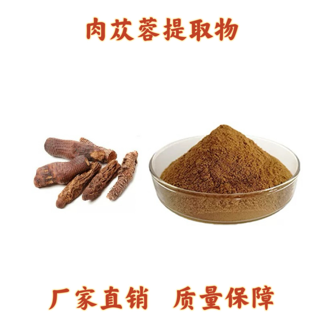 肉苁蓉提取物 松果菊苷甙 肉苁蓉免煎粉末 肉苁蓉浸膏浓缩精华粉