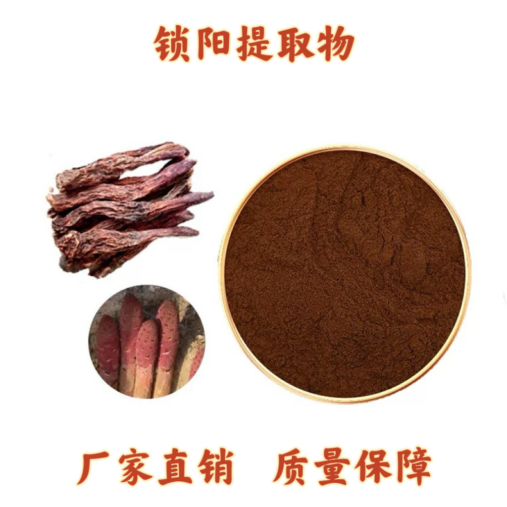 锁阳提取物30:1 锁阳浸膏粉 天然泡酒锁阳浓缩水溶粉末精华送量勺