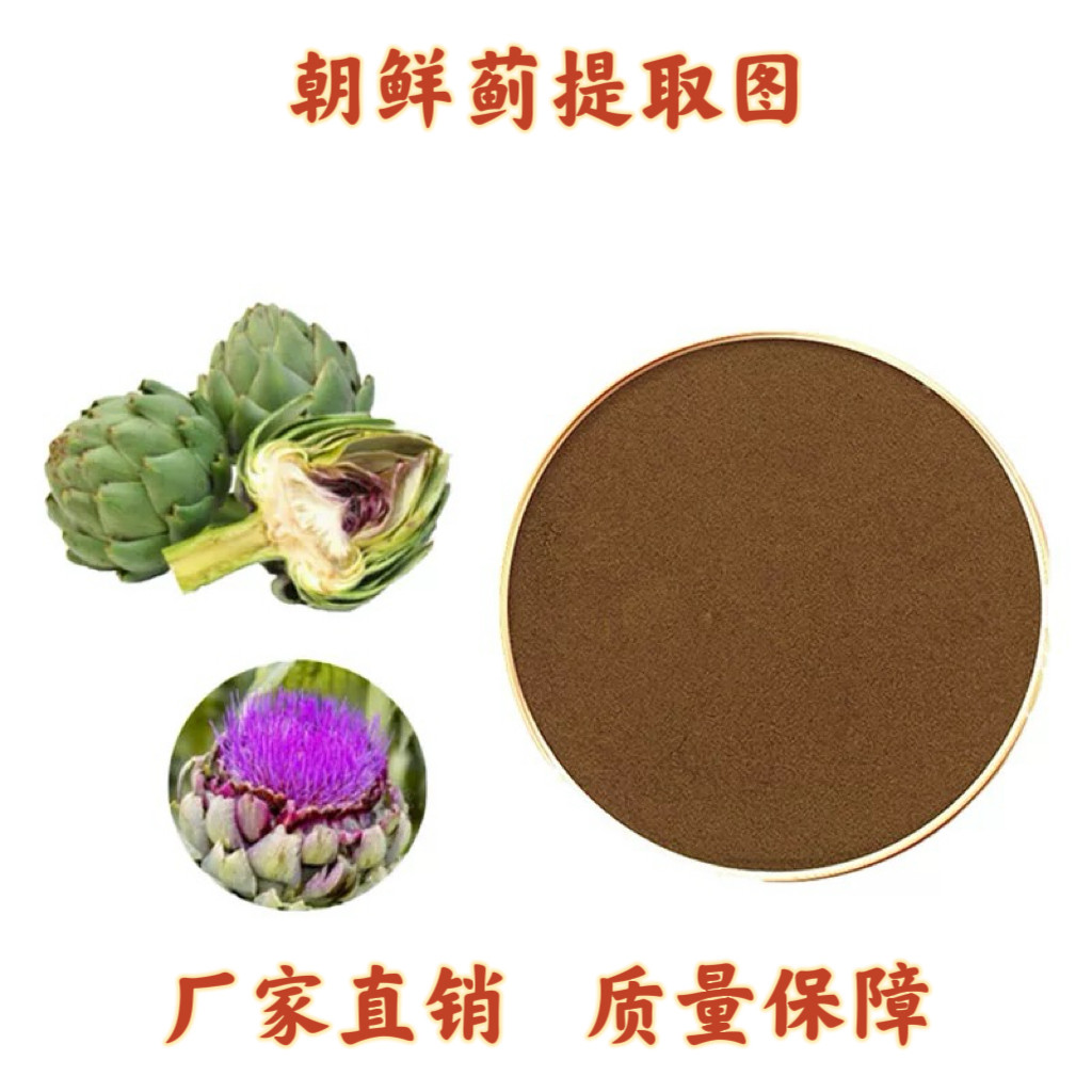 朝鲜蓟提取物 20:1 朝鲜蓟粉 洋蓟酸素5% 浓缩精华粉末品质包邮