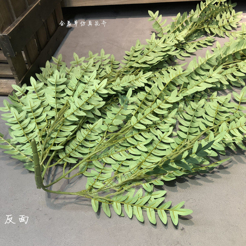 仿真挂壁绿植槐树藤条室内装饰植物大G紫萁叶酒店软装工程搭配叶