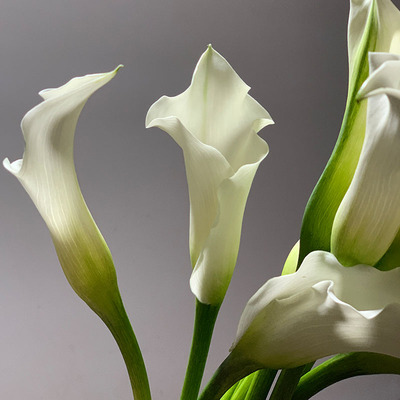 埃塞俄比亚国花白色马蹄莲海y芋百合鲜花婚礼手捧花酒店花瓶插花