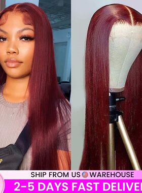 13x6 HD Lace Front Wig Human Hair Wigs 99J Red Burgundy Colo