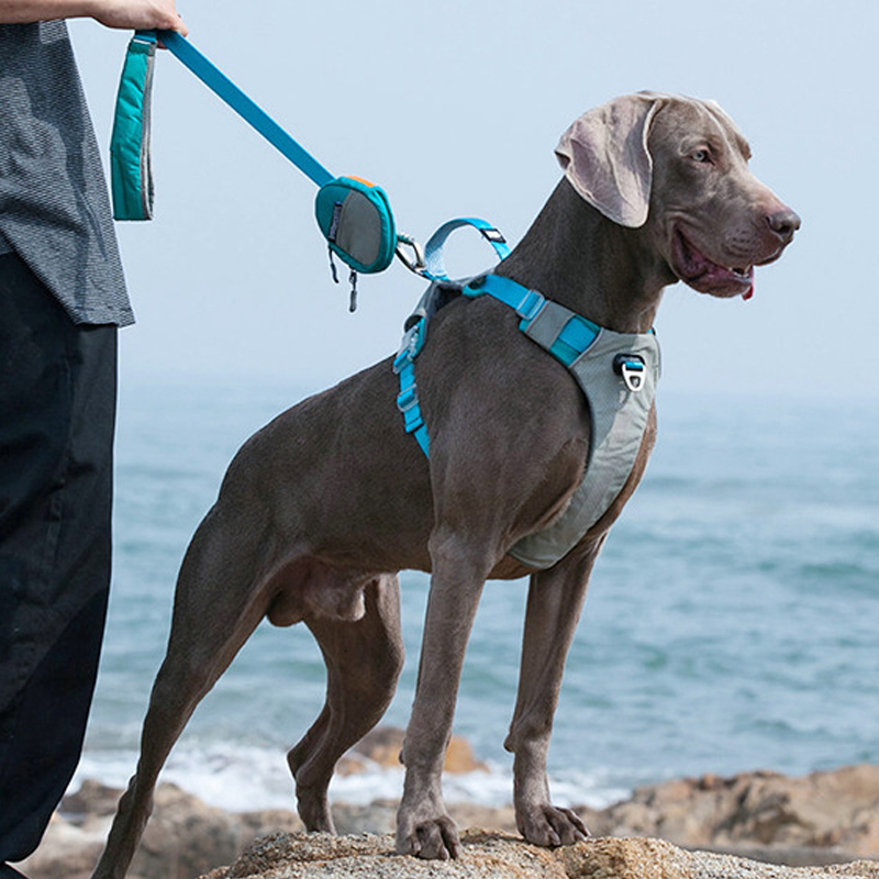 宠物防爆冲胸背带杜宾魏玛犬拉布拉多金毛牵引带可提拉背心式遛狗 宠物/宠物食品及用品 狗牵引绳 原图主图