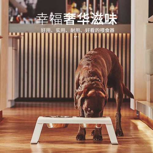 大中小型犬保护颈椎卡斯罗狗狗