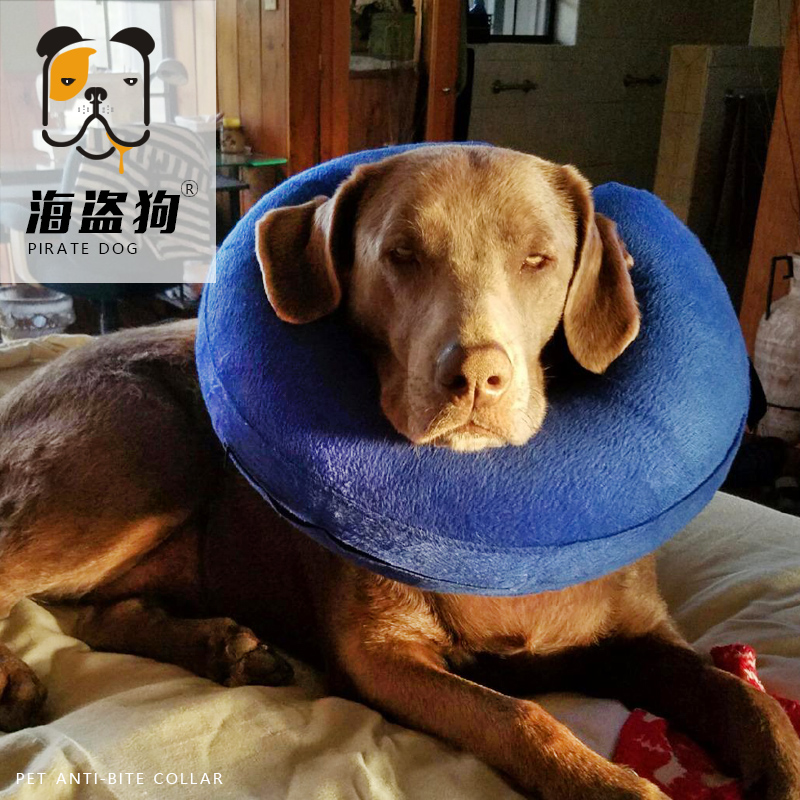 伊丽莎白美容罩防舔金毛狗项圈