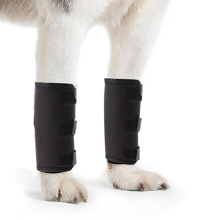 宠物泰迪护具狗狗户外用品打猎犬绑腿前腿无力金毛膝关节护腿辅助