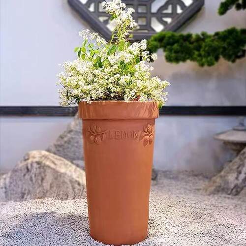 红泥陶罐组合落地粗陶土陶花盆景观多肉陶罐花盆37x60 厘米高