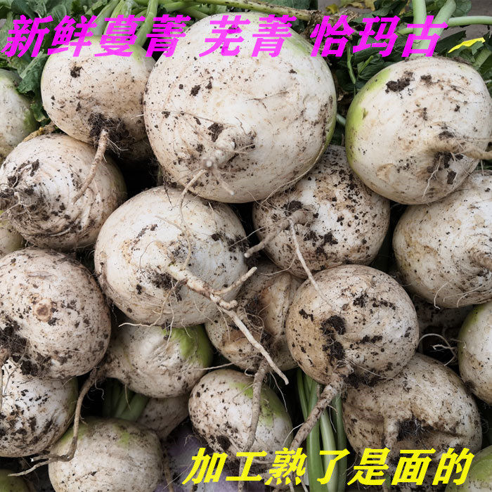 蔓菁新鲜新疆恰玛古芜菁耦头白河南农家自种碱性食物