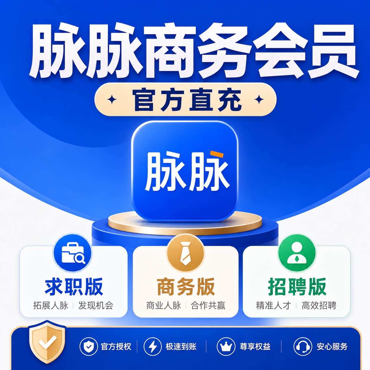 脉脉会员vip充值 招聘商务求职会员找工作人脉月卡年卡直充自己号