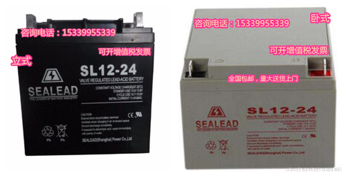 SEALEAD西力达SL12-24蓄电池12V24AH直流屏应急照明配电箱UPS电源
