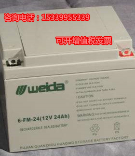 weida威达6-FM-24蓄电池12V24AH青鸟利达消防报警主机直流屏EPS用