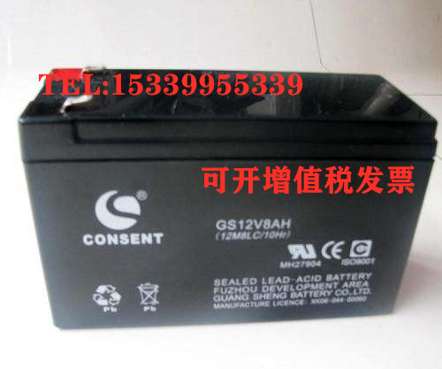 CONSENT光盛蓄电池GS12V8AH电梯平层应急UPS电源消防主机12V9AH用 - 实物图