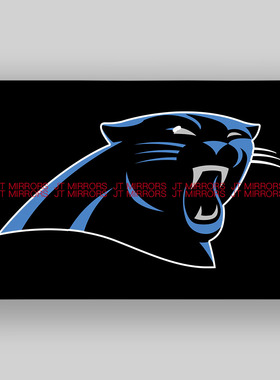 NFL美国黑豹队橄榄球俱乐部队旗旗帜定做Carolina Panthers flags