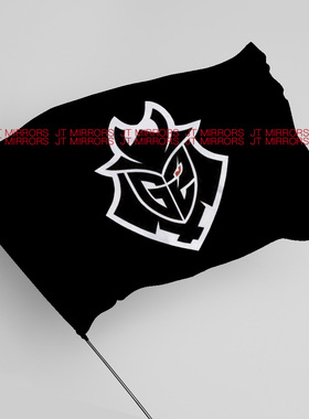 PGL Major联赛G2 Esports电竞战队旗帜队旗装饰海报CSGO定制flags
