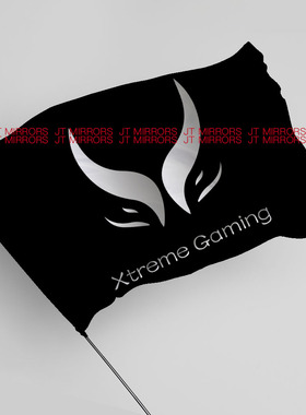 刀塔DOTA2国际邀请赛极限游戏Xtreme Gaming电竞俱乐部战队旗帜