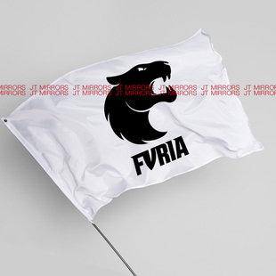 PGL Esports电竞战队旗帜队旗装 饰背景挂旗flags Major联赛FURIA