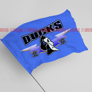 CBA联赛北京首钢男篮球俱乐部青少年学生周边队旗旗帜厂旗子定制