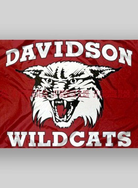 NCAA戴维森野猫大学活动队旗旗帜定做定制Davidson Wildcats Flag