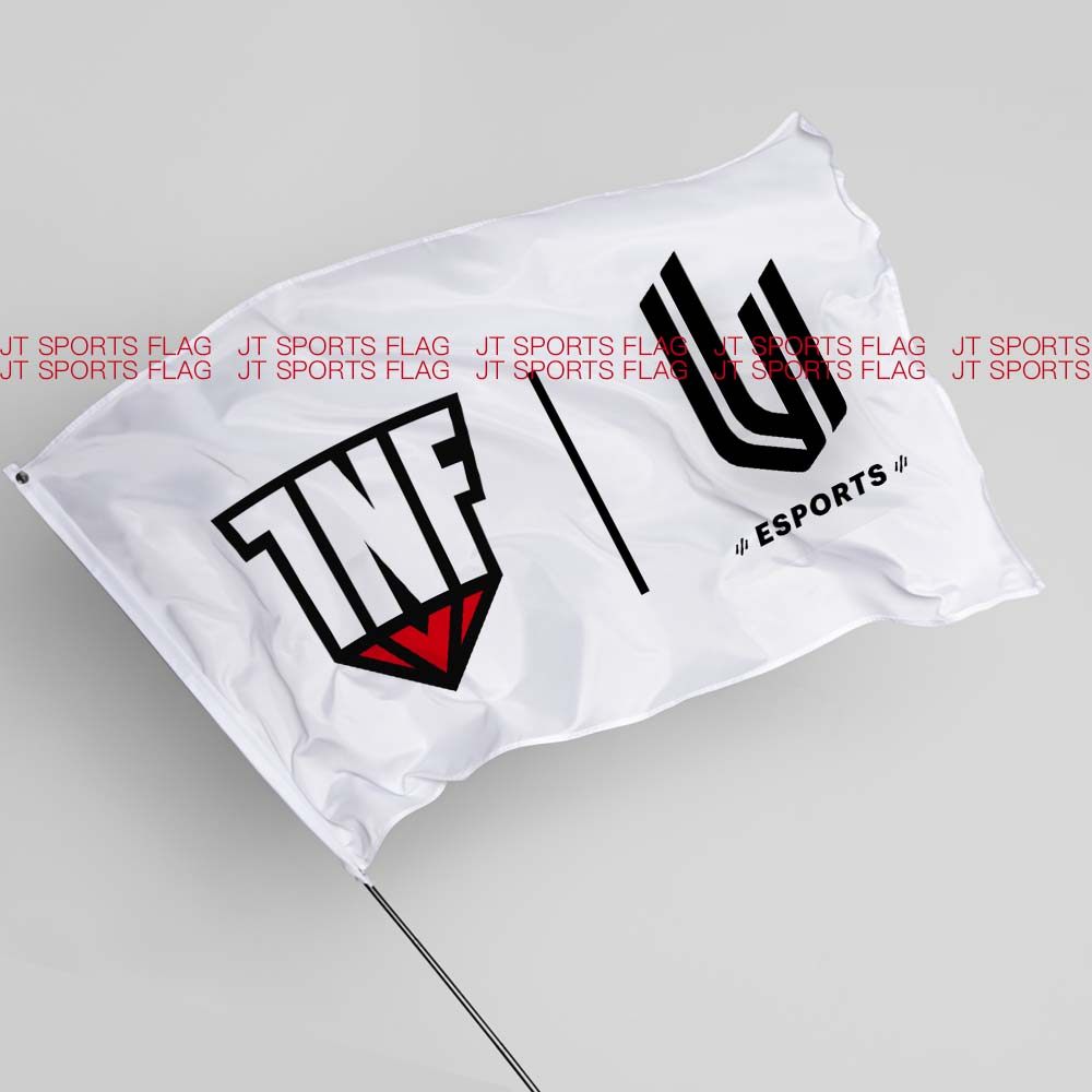 刀塔DOTA2国际邀请赛Infamous Gaming信息体育电竞俱乐部战队旗帜