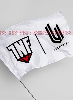 刀塔DOTA2国际邀请赛Infamous Gaming信息体育电竞俱乐部战队旗帜