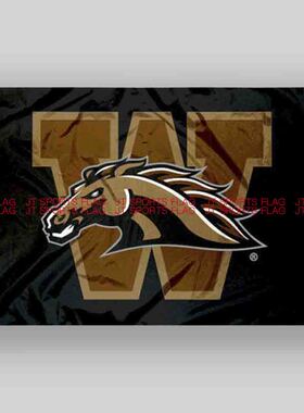 NCAA西密歇根野马旗帜队旗定做Western Michigan Broncos Flag