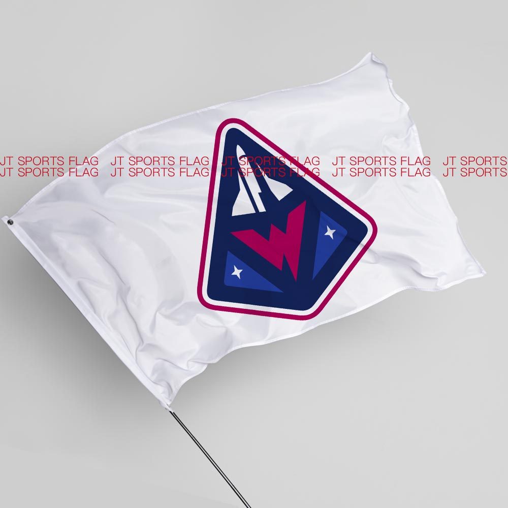 刀塔DOTA2国际邀请赛Winstrike Team 胜击队电竞俱乐部战队旗帜